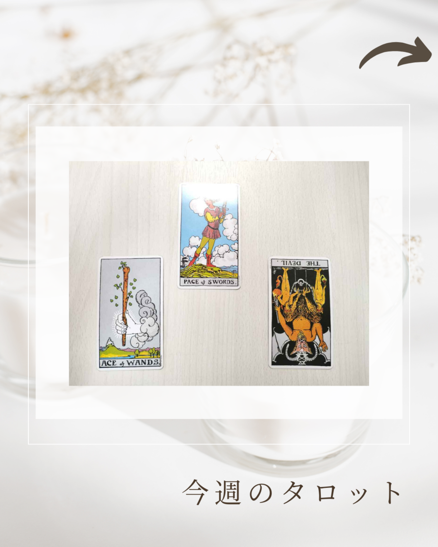 今日のタロット (39).png