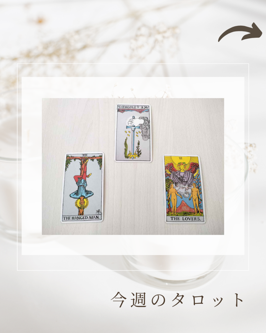 今日のタロット (42).png