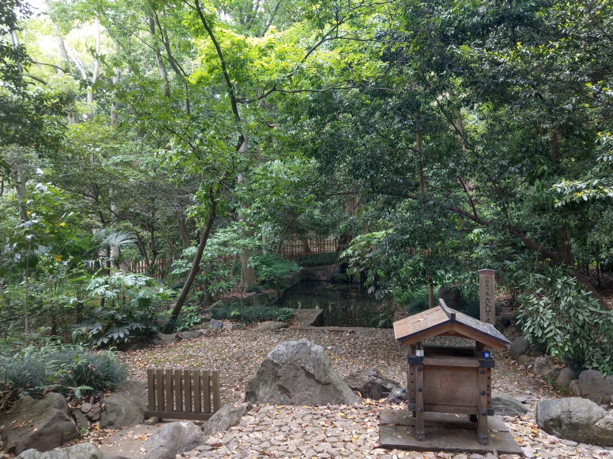 s_大宮氷川神社 蛇の池(埼玉県さいたま市).jpg