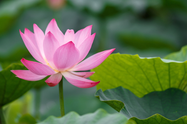 こころみちヒーリングのイメージ